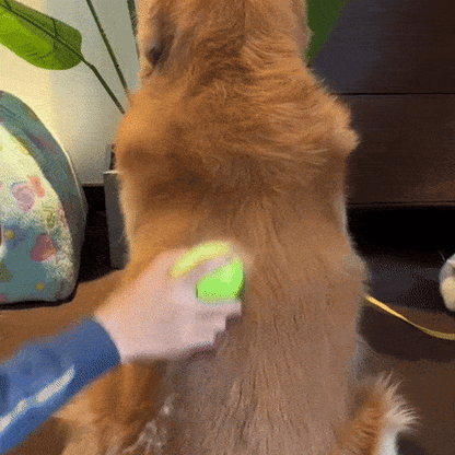 VänPäls Ångborste - För Katter & Hundar